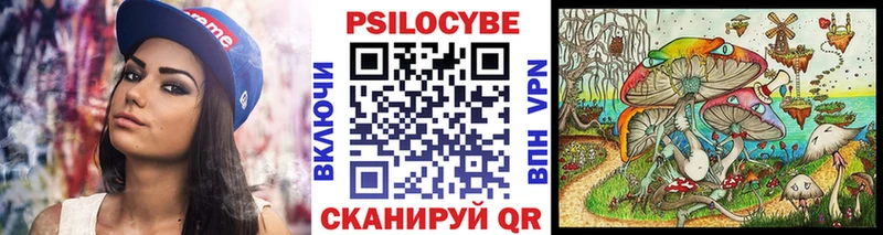 KRAKEN как зайти Сурск Псилоцибиновые грибы мухоморы